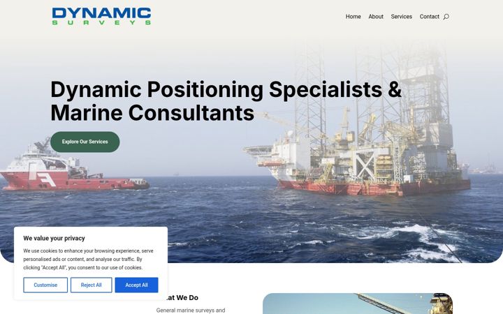 Screenshot of dynamicsurveycompany.com