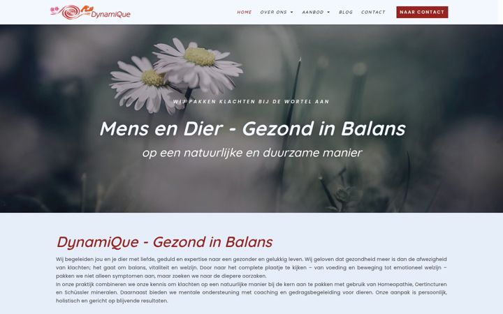 Screenshot di dynamique-gezondinbalans.nl
