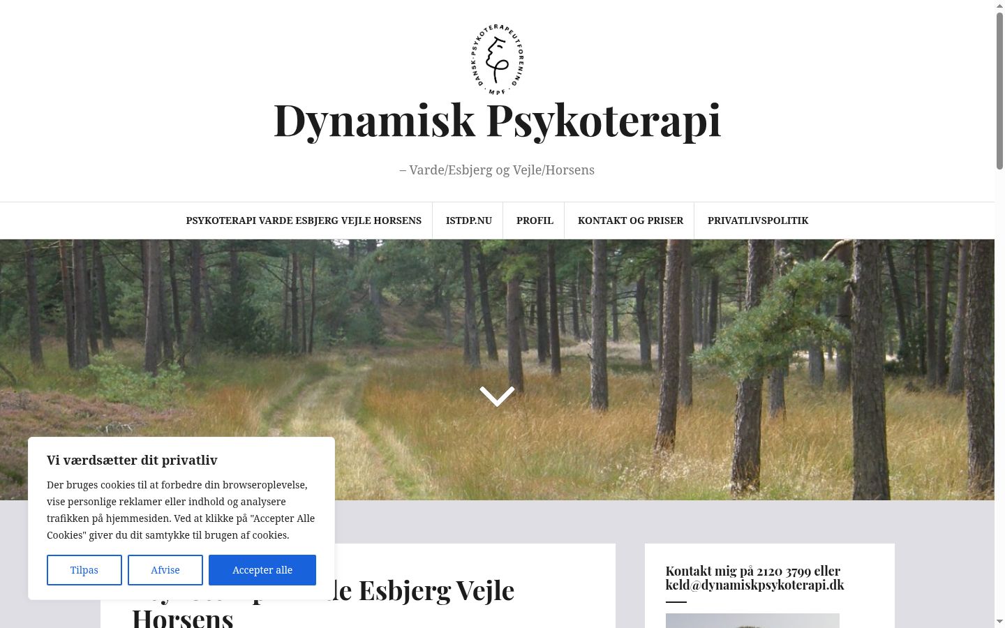 Skjámynd af samþykkisborðanum eins og hann birtist áður en nokkur samskipti fóru fram