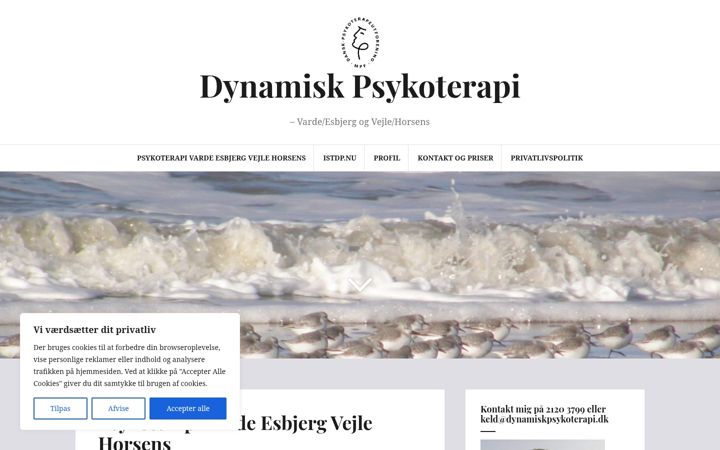 Skjámynd af dynamiskpsykoterapi.dk