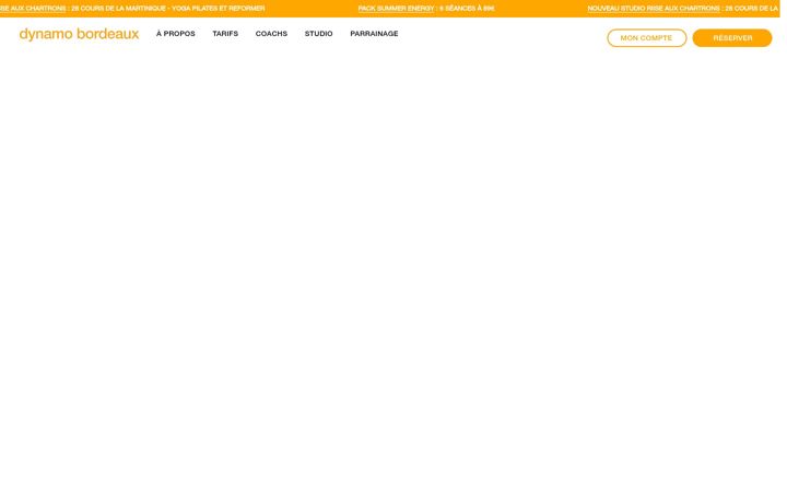 Screenshot of dynamo-bordeaux.com