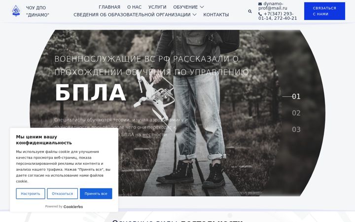 Screenshot stránky dynamo-prof.ru