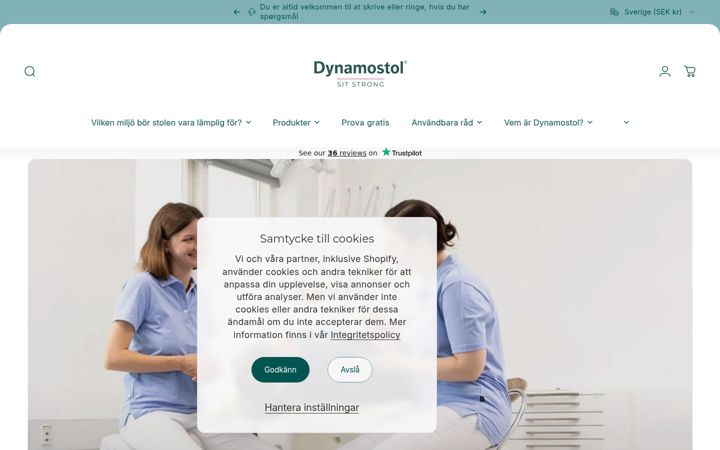 Screenshot ta' dynamostol.se