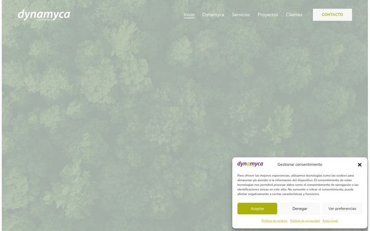 Screenshot of dynamyca.com
