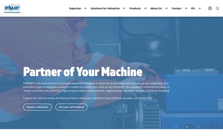 Screenshot of dynaset.com