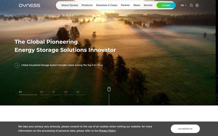 Screenshot του dyness.com
