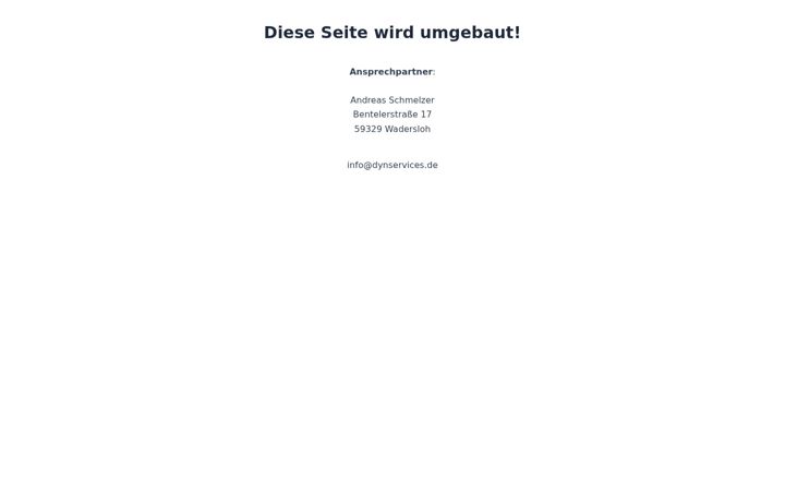 Screenshot of dynservices.de