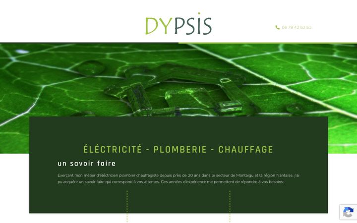 Screenshot van dypsis.fr