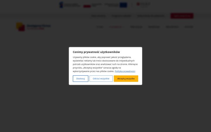 Screenshot ta' dyrektywa-eaa.pl