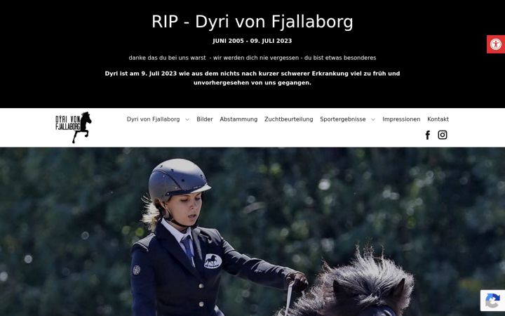 Képernyőkép: dyri-von-fjallaborg.at