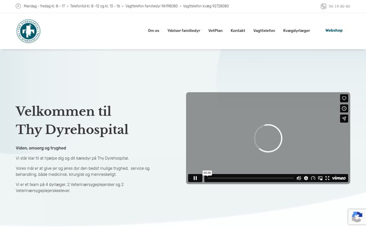 Skjámynd af dyrlaegegruppenthy.dk