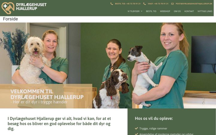 Skjámynd af dyrlaegehusethjallerup.dk