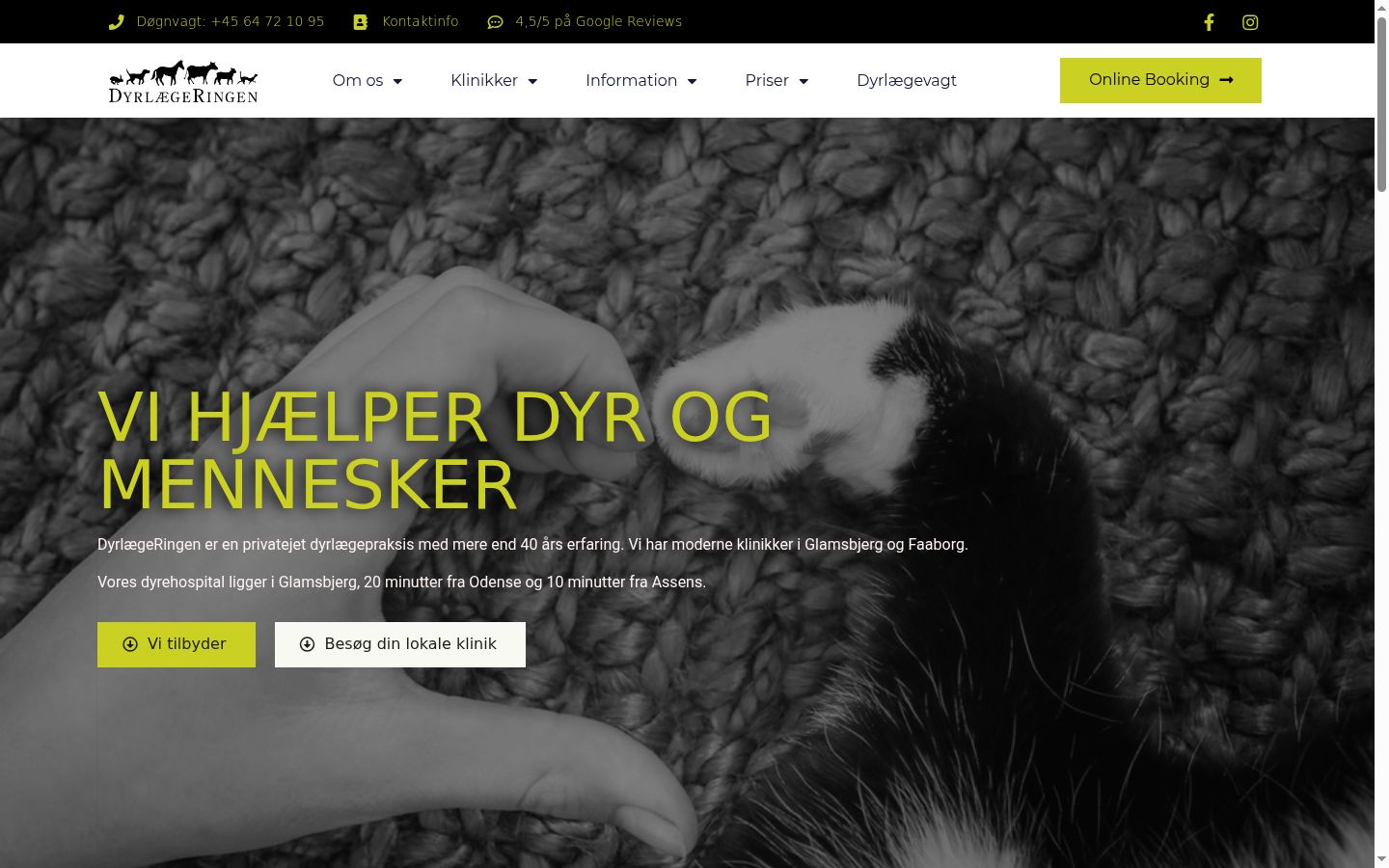 Ekraanipilt nõusolekubännerist, mida näidati enne mis tahes suhtlust