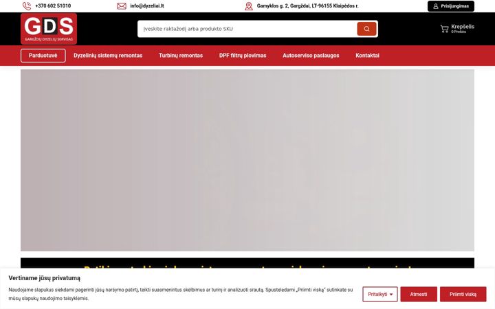 Snímek obrazovky dyzeliai.lt
