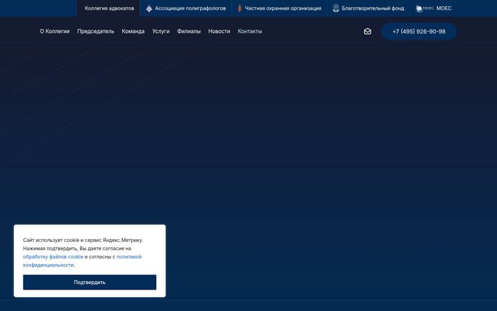 Screenshot stránky dz-group.ru
