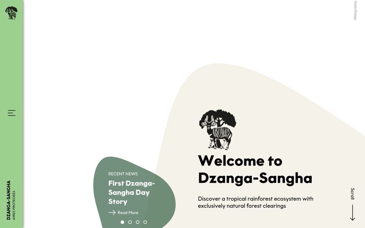 Screenshot ta' dzanga-sangha.org