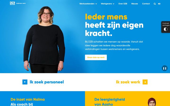 Screenshot di dzb.nl