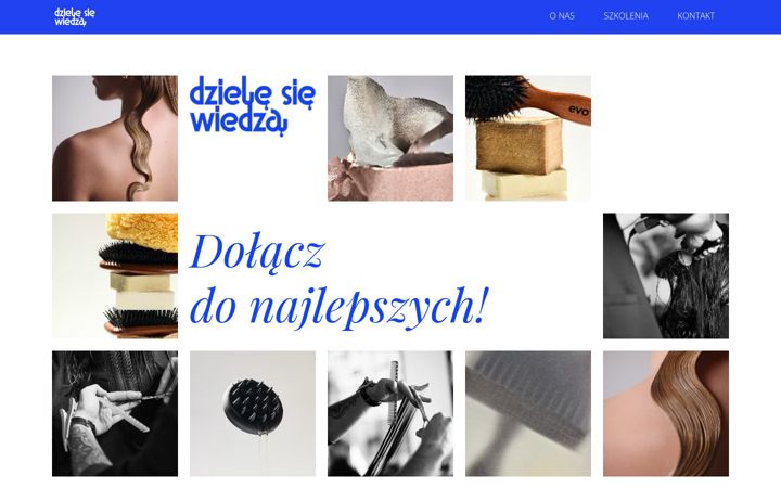Capture d'écran de dzielesiewiedza.pl