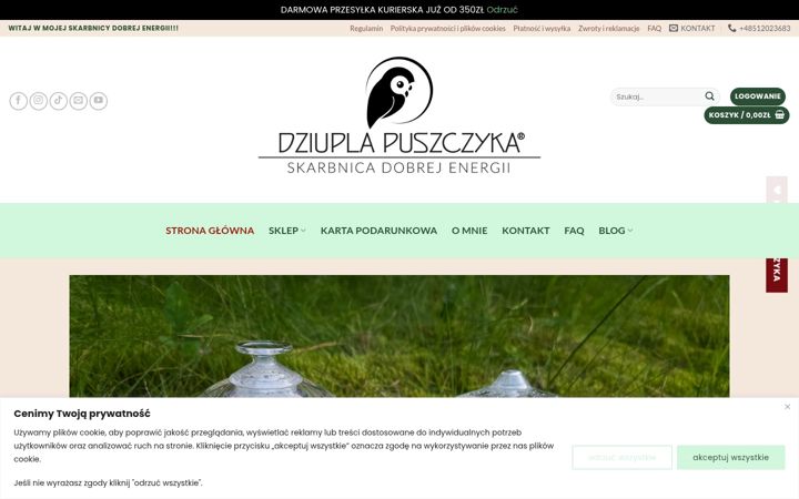 Captura de ecrã de dziuplapuszczyka.pl