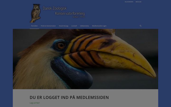 Ekraanipilt saidist dzk.dk
