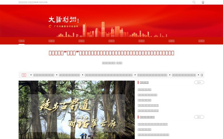 Screenshot of dzsm.com