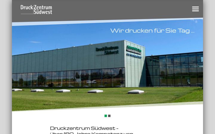 Screenshot of dzsw.de