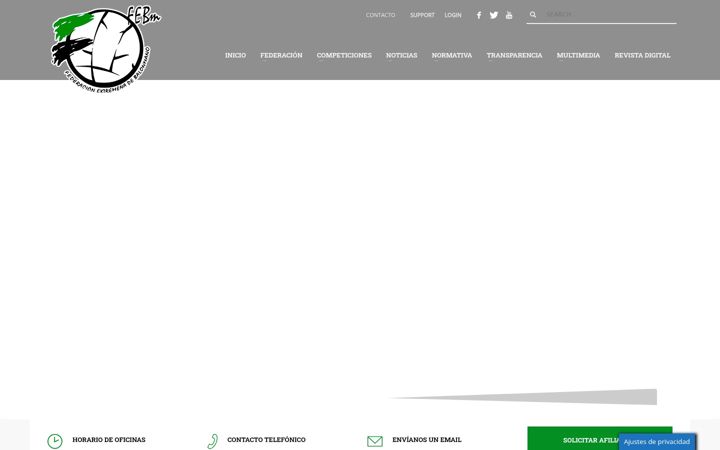 Screenshot of e-balonmano.com
