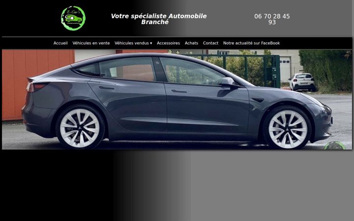 Screenshot ta' e-car-s.fr