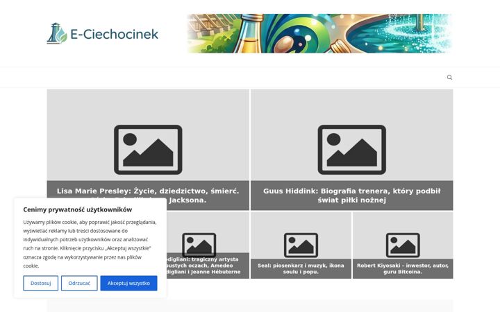 Posnetek zaslona e-ciechocinek.pl