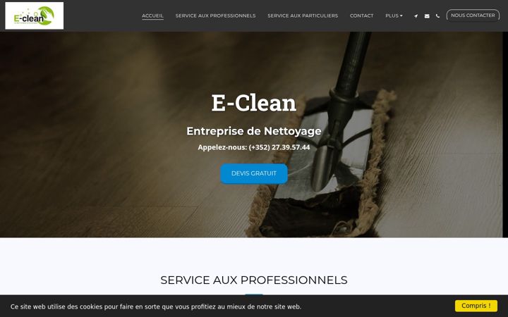 Ekraanipilt saidist e-clean.eu