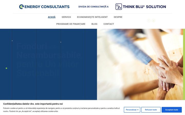 Ekrano kopija e-consultants.ro