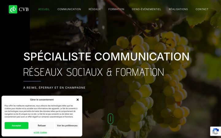 Screenshot of e-cvb.com