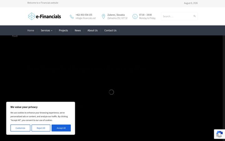Captura de pantalla de e-financials.net