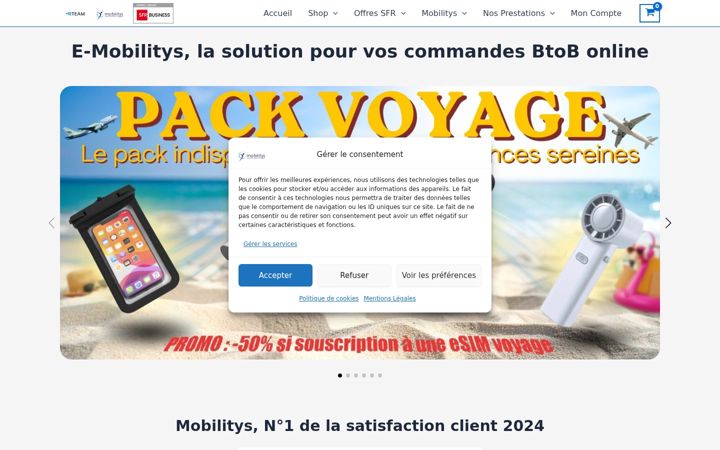 Zrzut ekranu e-mobilitys.fr