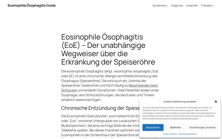 Screenshot of e-oe.de