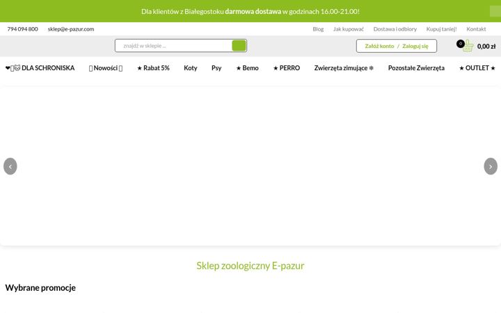 Screenshot of e-pazur.com