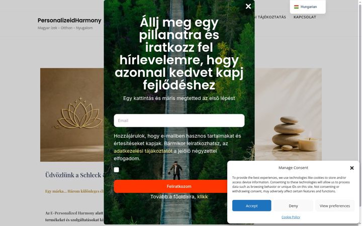 Screenshot of e-personalizeidharmony.com