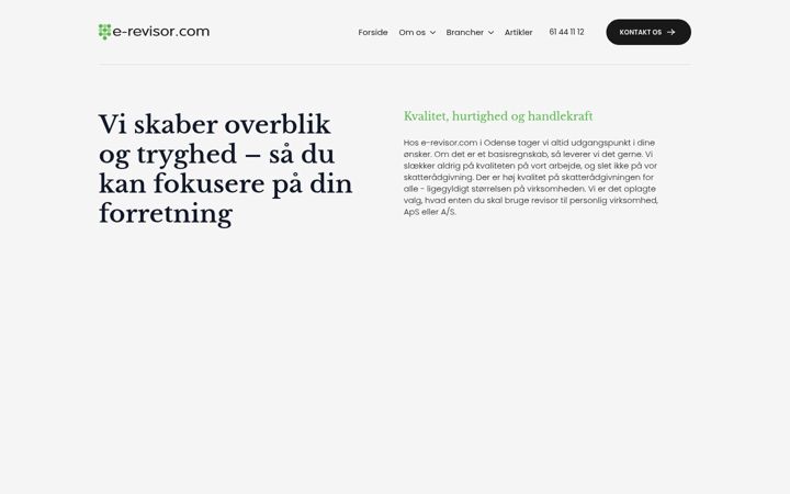 Screenshot of e-revisor.com