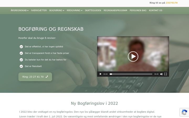 Ekraanipilt saidist e-revisor.dk
