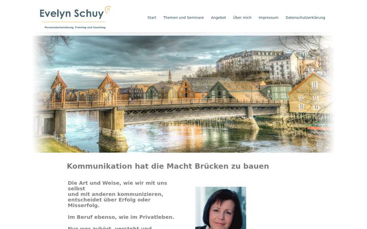 Screenshot of e-schuy.de