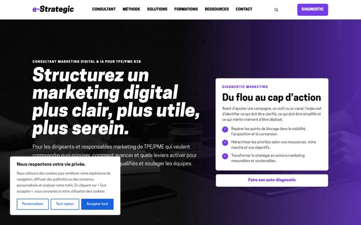 Captură de ecran a e-strategic.fr