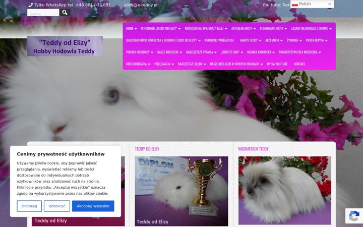 Posnetek zaslona e-teddy.pl