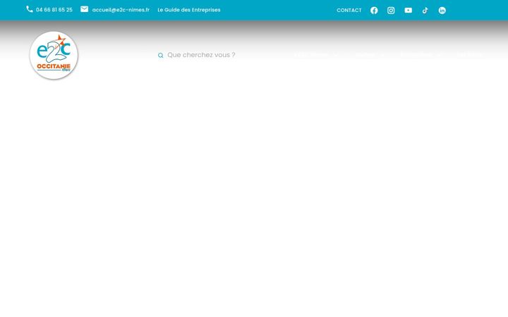 Screenshot of e2c-nimes.fr