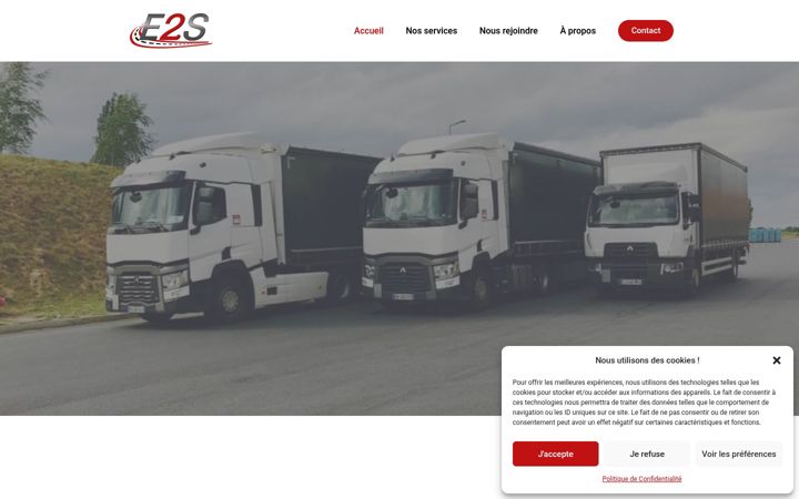 Screenshot of e2s-lyon.fr