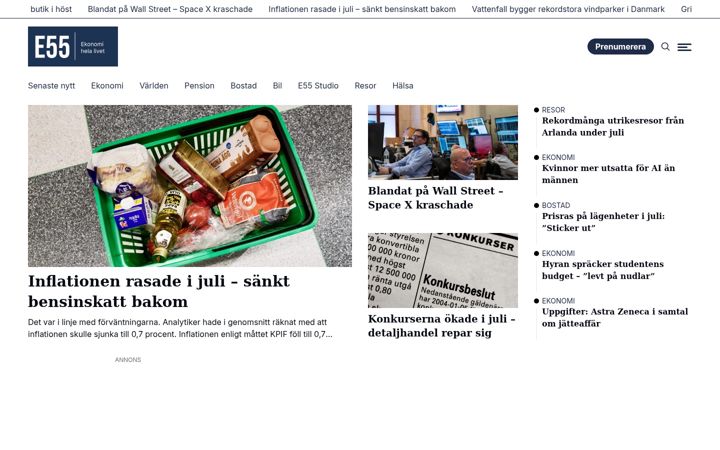 Screenshot von e55.se
