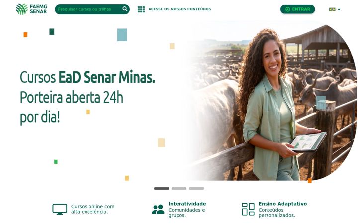 Screenshot von eadsenarminas.org.br