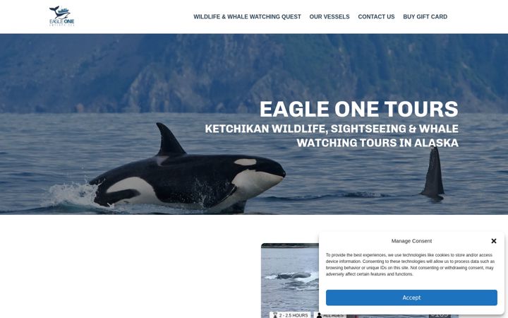 Screenshot of eagleonetours.com