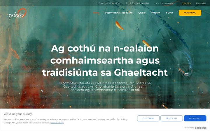 Екранна снимка на ealain.ie