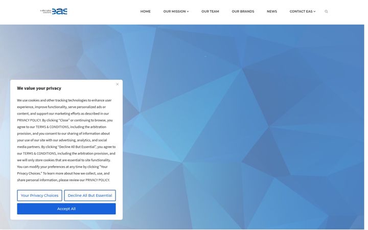 Screenshot of ealternativesolutions.com