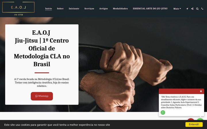 Screenshot of eaojjiujitsu.com